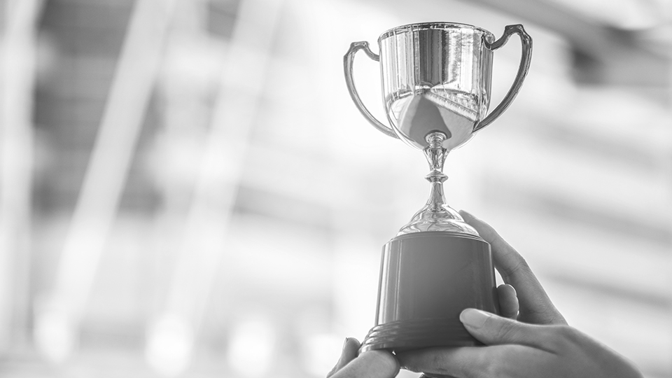 Awarded Most promising Compliance Solution Provider in India, by CIO review 2015